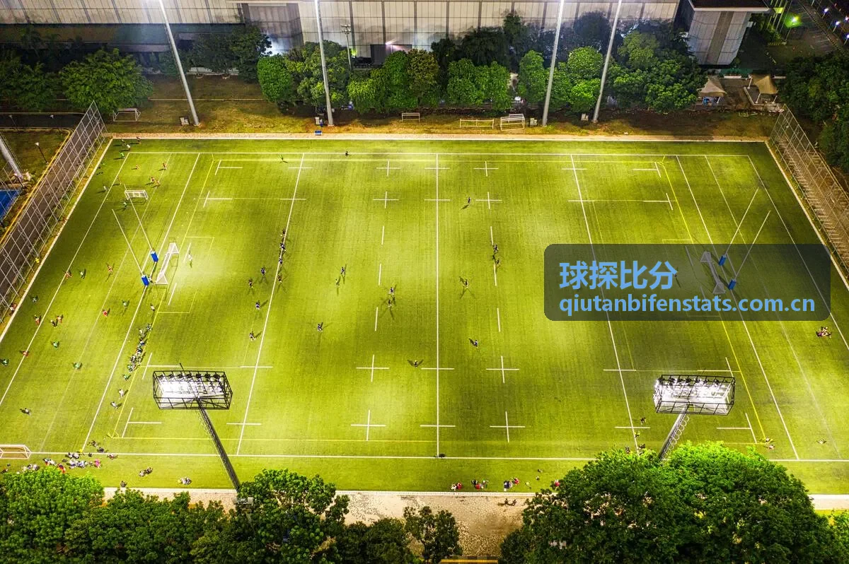 球探比分纽卡斯尔队徽